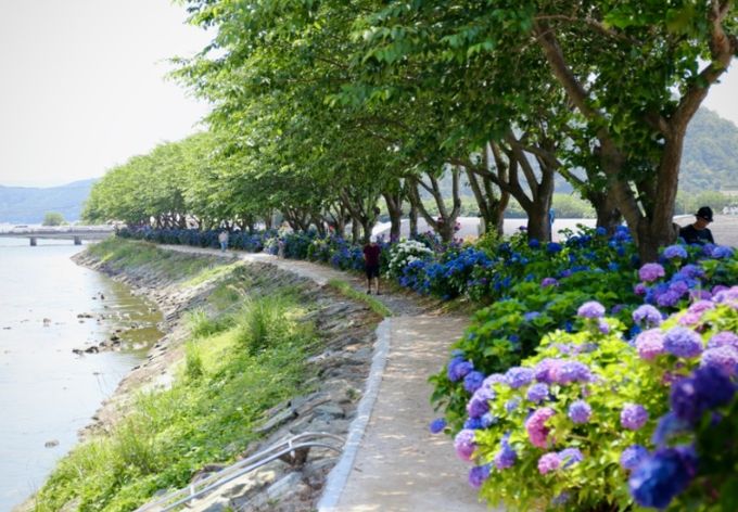 제23회 관리부문(통영시 빛과길)