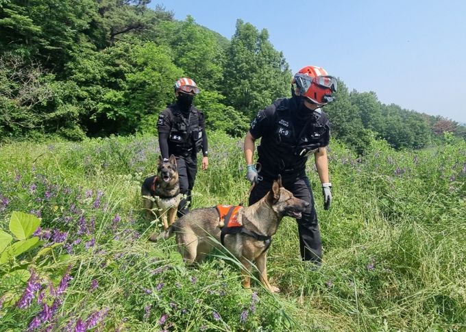 119구조견 역량 강화 훈련