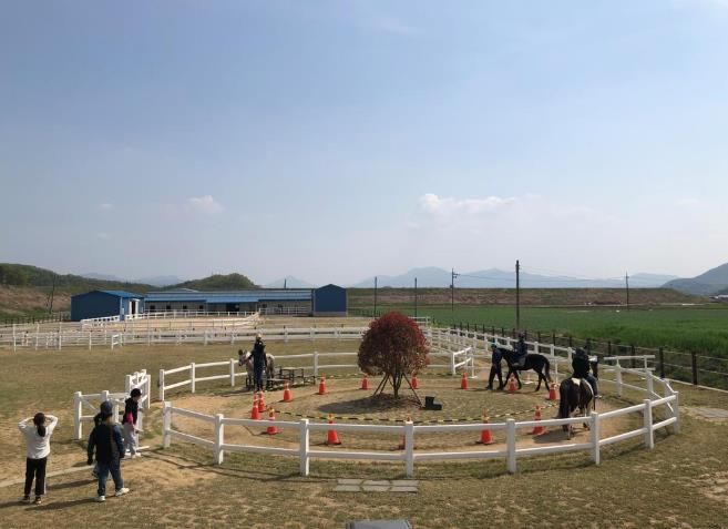 함안군승마공원, 자유학기제 승마체험 프로그램 운영
