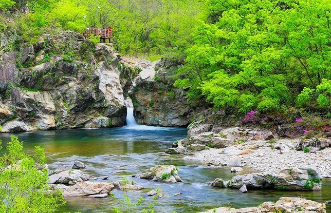 양구군 ‘DMZ 평화의길 26코스(금강산 가는 옛길)’ 올해 첫 개장