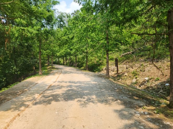 용인특례시는 처인구 왕산리 산93번지 일원 숲길의 맨발길 종점에서 간이 세족장까지 이어지는 산책로를 새롭게 연결했다
