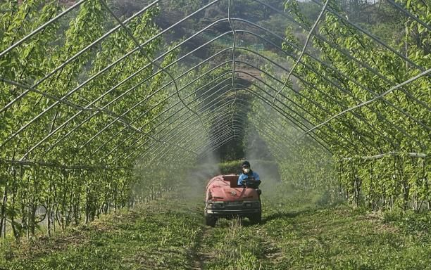 진주시, 과수 재배농가에 '돌발해충 방제약제 지원'