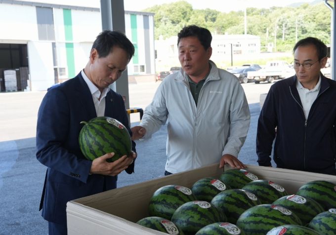 대한민국 1등 수박! 전국 소비자 입맛을 사로잡는다