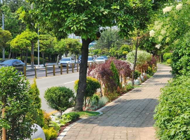 통영 원문로, 입체적‘명품가로숲길’로 새단장