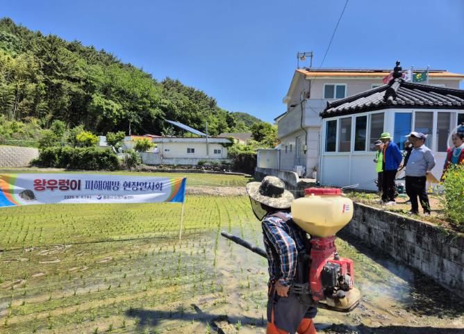 통영시, 방제약제 공급 및 현장연시회로 왕우렁이 피해 선제 대응