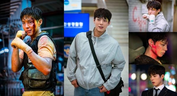 사진제공= SLL, 스튜디오앤뉴, 드라마하우스스튜디오