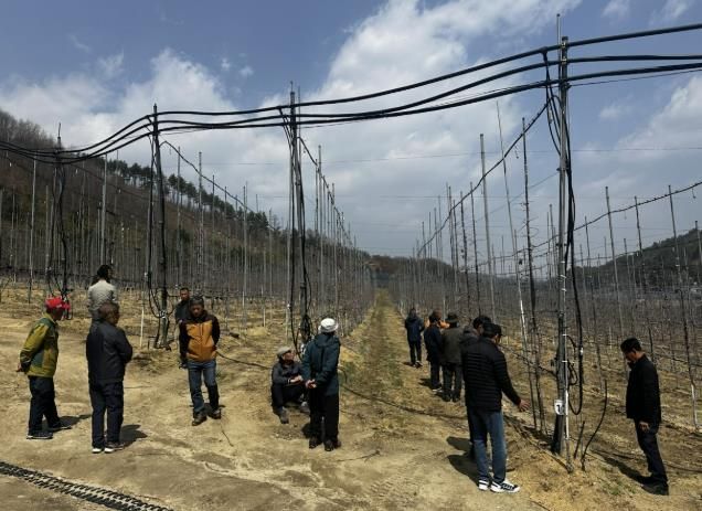 충주시, 과수농가 스마트기술 컨설팅사업 추진