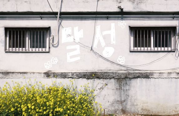 달성문화도시센터 청춘문화방 사진(김진억 작가 사진집 발췌 사진)