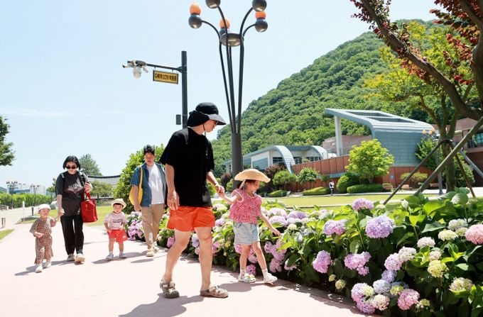 의병박물관 의병테마 수국길, 가족 나들이 명소