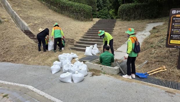 세종시 도담동, 여름철 집중호우 대비 배수로 정비