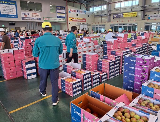 출하농산물 안전성 검사