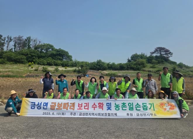 하동군 금성면 지사협 “금보따리”, 지역주민과 함께 보리 수확