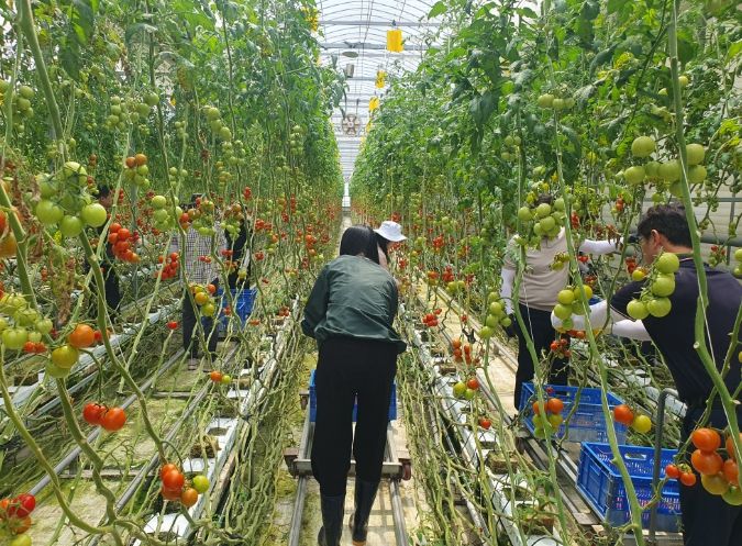 고성군 행정과·구만면사무소 직원 일동 봄철 농촌일손돕기