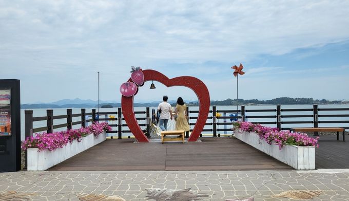 무지갯빛 해안도로 화단 꽃 식재