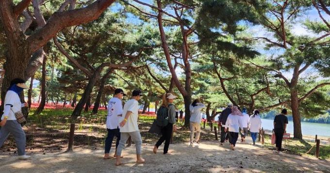 ‘자연을 걷다, 건강을 얻다’ 하동송림 공원에서 맨발 힐링