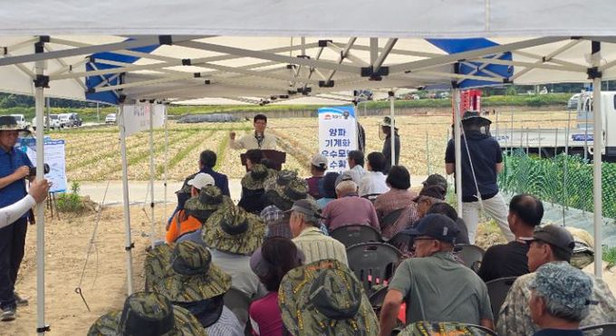 김천시, 힘든 양파 농사... 이제는 기계로 해결!