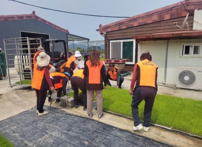 진도소방서 의용소방대, 소방서에 이어 농촌일손돕기 나서...