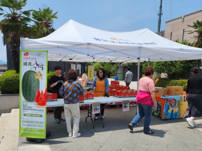 함안군 달콤하고 향기로운 함안‘베개수박’ 소비자를 찾아가다