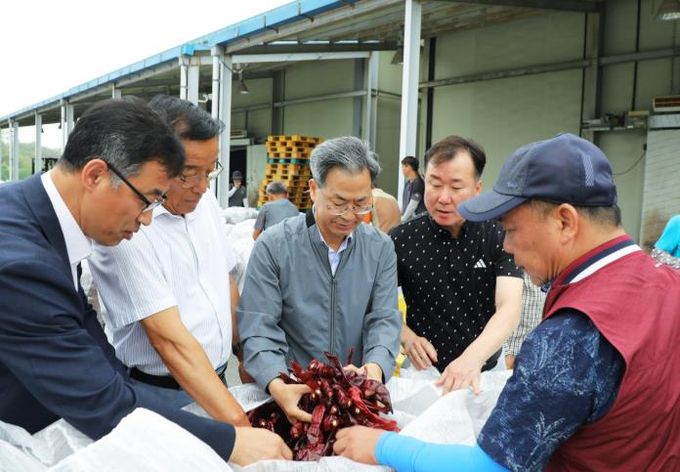 남영양농협 홍고추 수매
