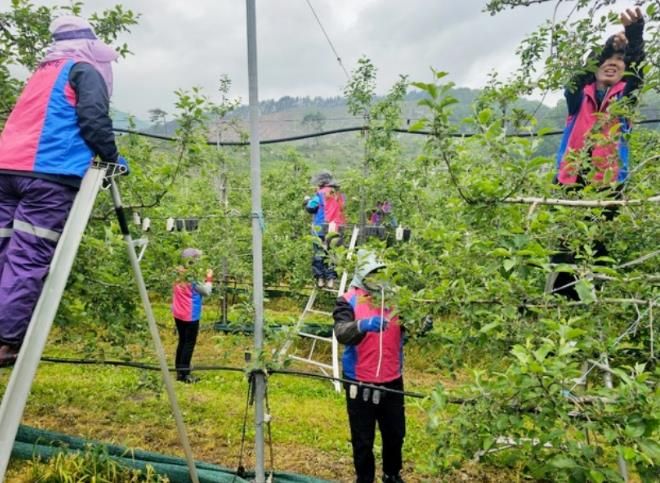 함양군생활개선회, 회원 농가 찾아 일손 돕기 펼쳐