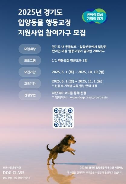 입양동물 행동교정 지원사업 참여가구 모집