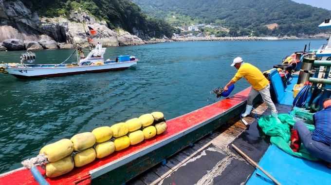 통영시, 2025년 상반기 수산종자방류 마무리