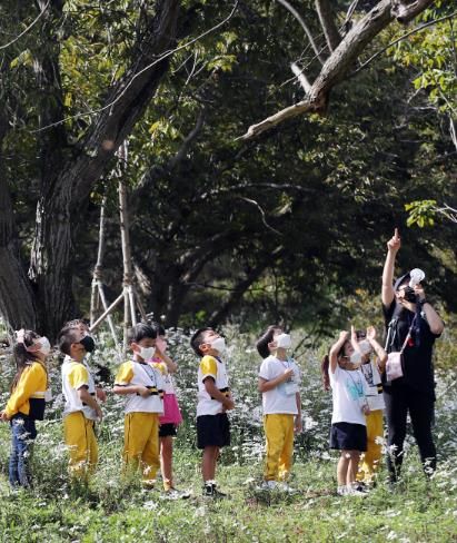 노루벌 적십자생태원 교육 장면(자료사진)