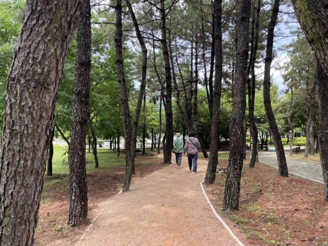 통영시“건강도 힐링도 한 번에”공원 맨발걷기길 확충!