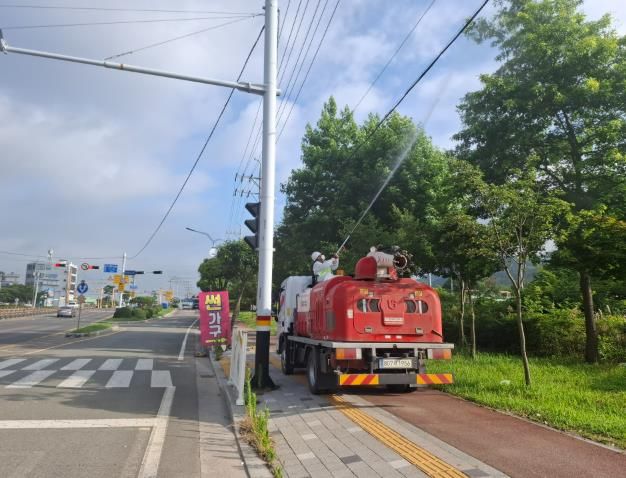 사천시, 여름철 가로수 병해충 2차 방제 실시