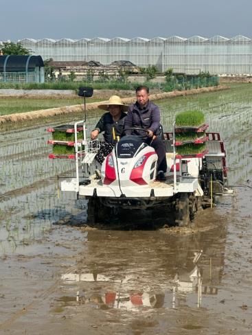 승용이앙기 조작법 교육 현장 사진