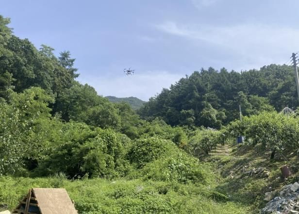 음성군, 돌발해충 긴급방제 약제 지원