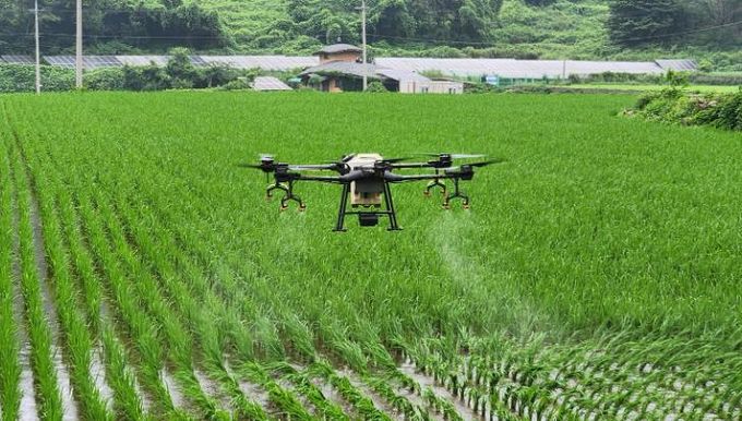 남해군, 벼 병해충 항공방제(1차) 실시