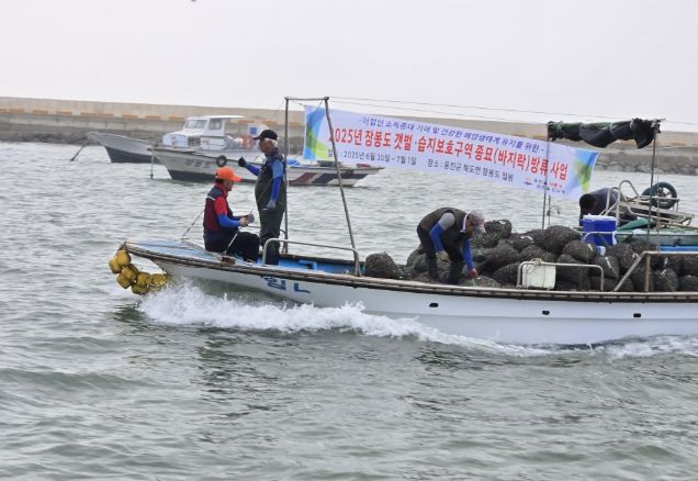 옹진군 장봉도 갯벌․습지보호구역에 종묘(바지락)방류