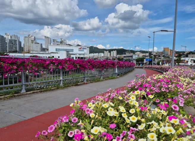 도심 교량 난간에 조성된 꽃화분 모습