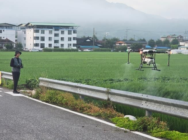 함안군, 벼 병해충 공동방제로 깨끗한 들판 만들어요 !