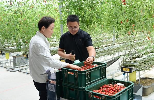 고령군 스마트팜 작업자 추종 운반로봇 시범 보급사업 평가회 개최 !