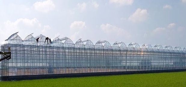 2026년 시설원예분야 지원사업 수요조사 실시