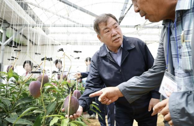 신소득 작물 애플망고 농가 방문