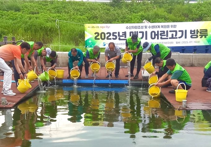 2025년 메기 어린고기 방류
