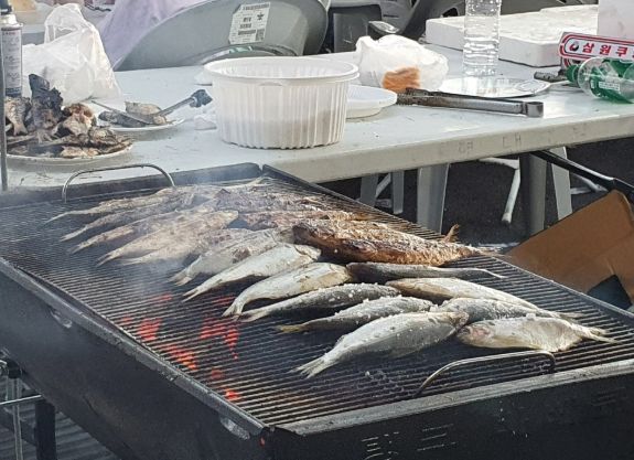 여름철 별미 ‘햇전어’ 납시오 16일부터 전어잡이 본격 시작