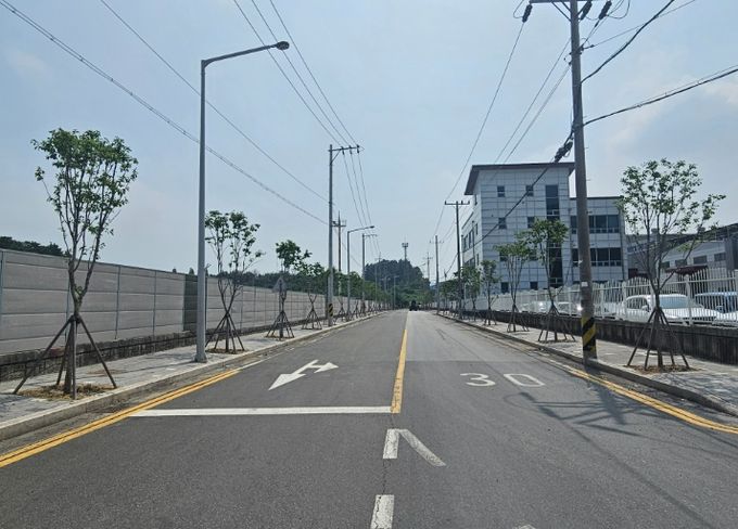 칠서일반산업단지, 가로수 재정비로 새 단장