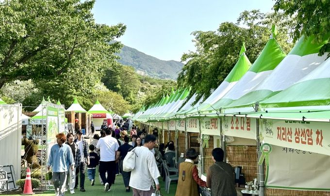 야생차축제 전경