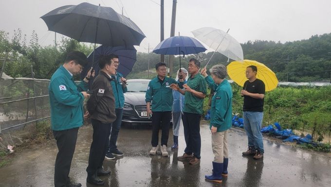 지난 19일 최기문 영천시장이 집중호우로 침수된 농경지를 둘러보며 긴급 복구 방안을 논의하고 있다.