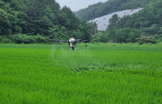 하동군, 벼 병해충 공동방제로 선제적 총력 대응