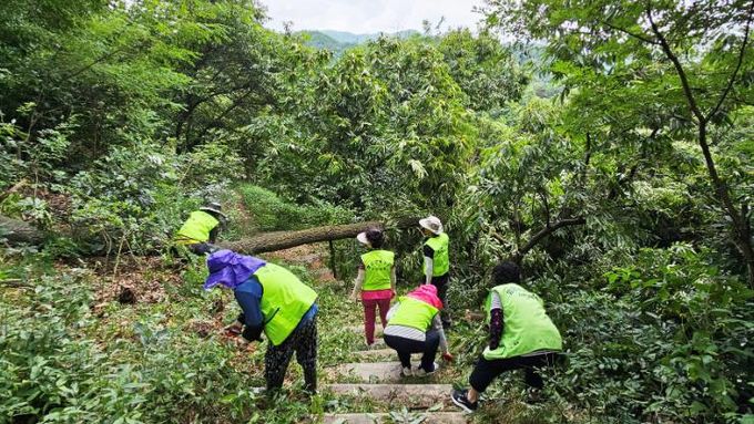 함양 수동면 자연보호협의회, 호우 피해 연화산 등산로 정비