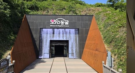 와인동굴 미디어콘텐츠