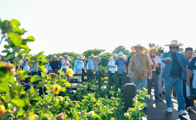 황근숲 탄소워킹