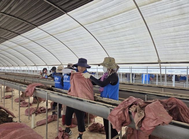 더불어민주당 국회의원