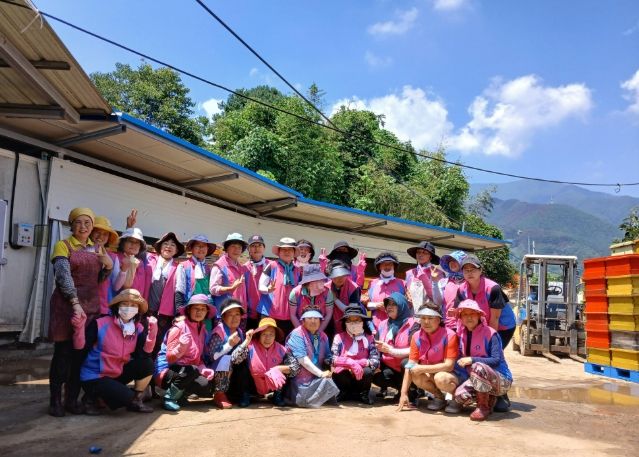 생활개선 남해군연합회, 산청 폭우 피해 복구