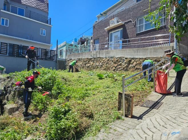 자연보호 동구협의회, 공·폐가 철거부지 예초 환경정비 실시